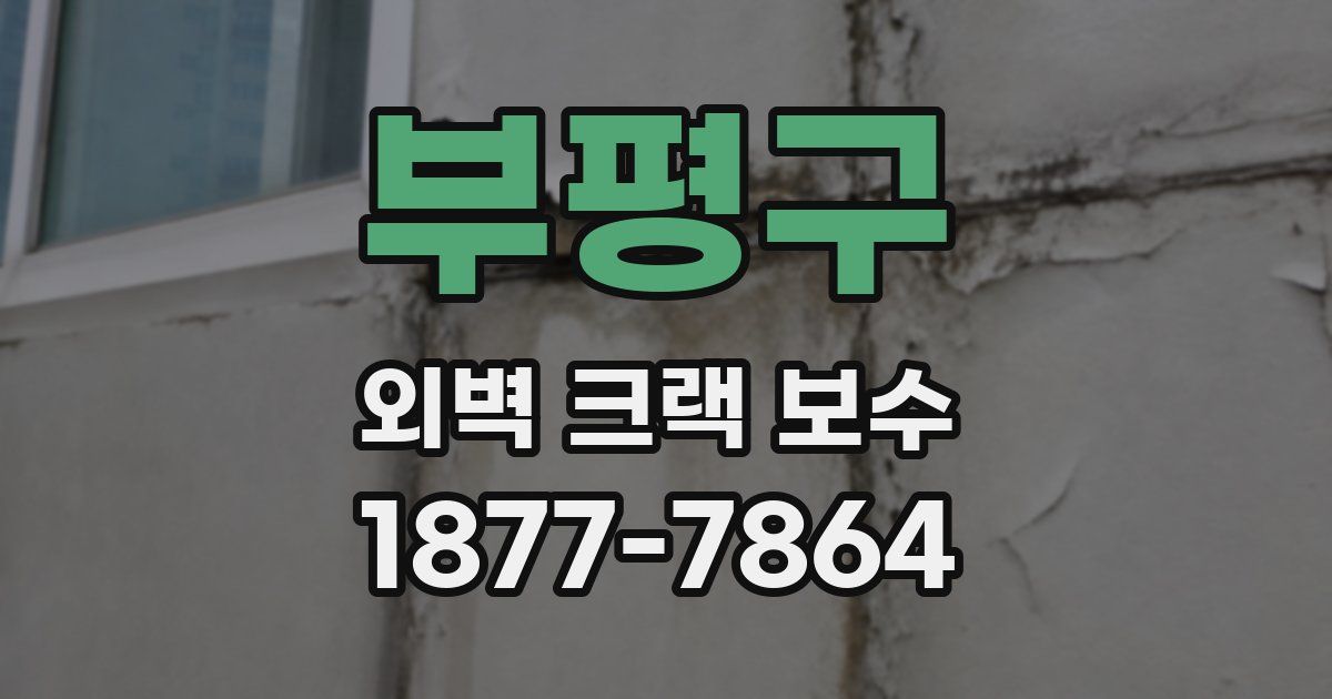 부평구 외벽 크랙 보수