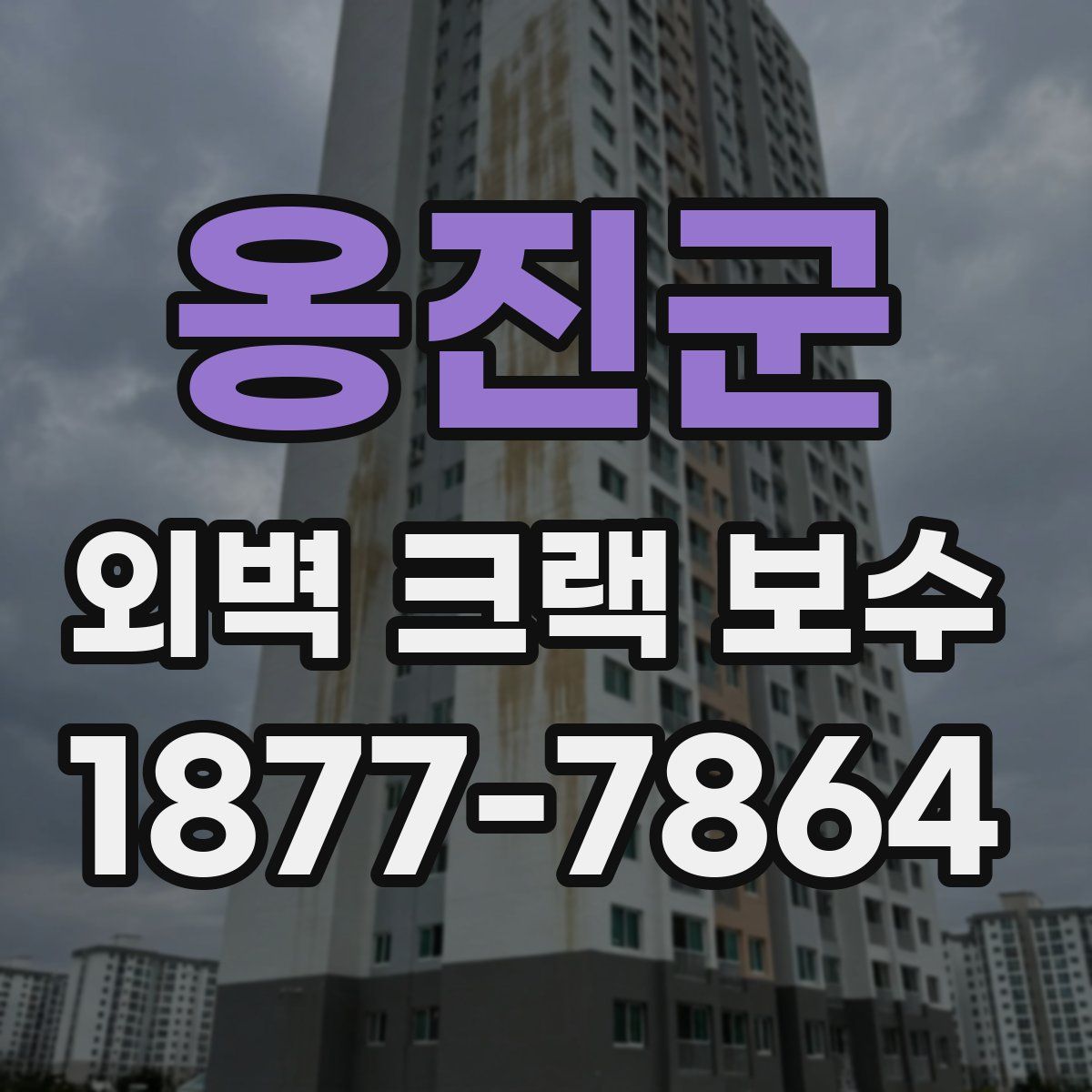 옹진군 외벽 크랙 보수