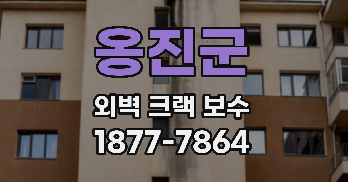 옹진군 외벽 크랙 보수