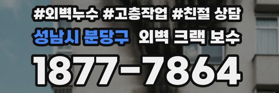 성남시 분당구 외벽 크랙 보수