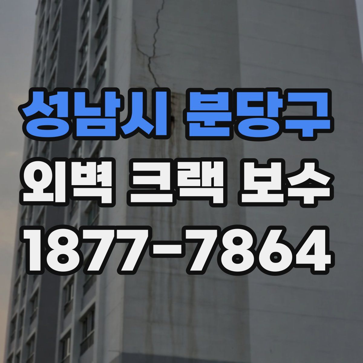 성남시 분당구 외벽 크랙 보수