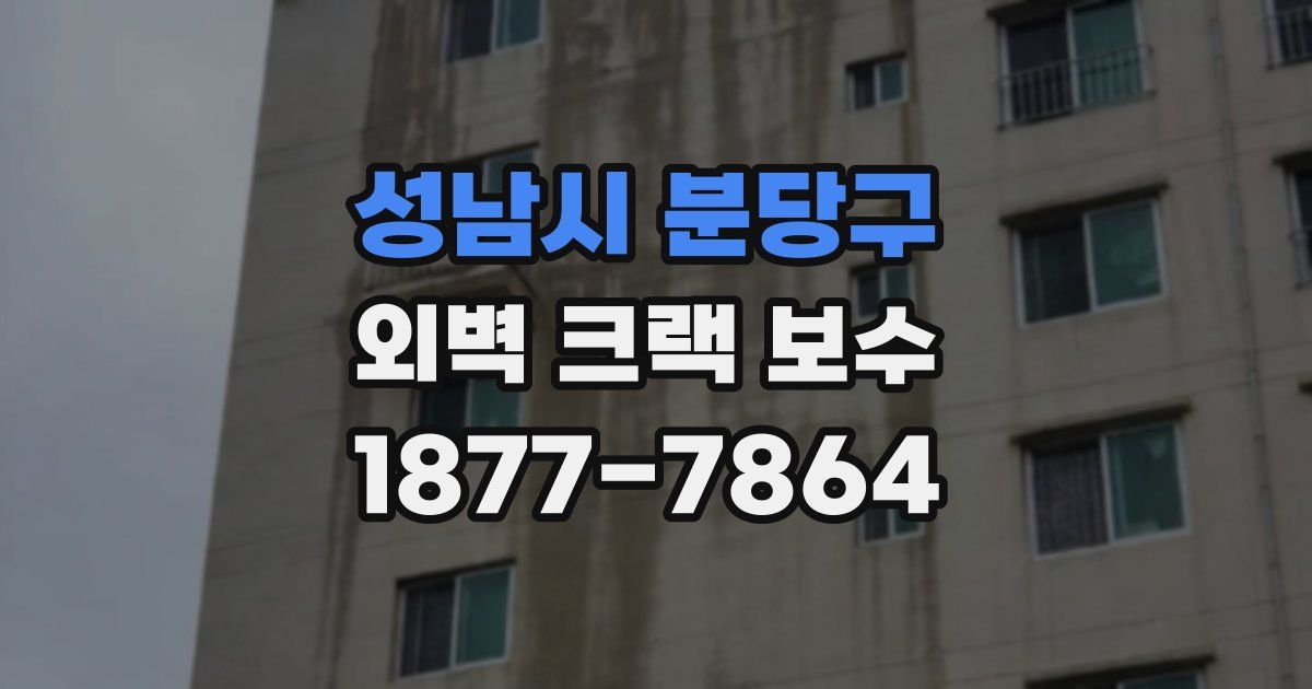 성남시 분당구 외벽 크랙 보수