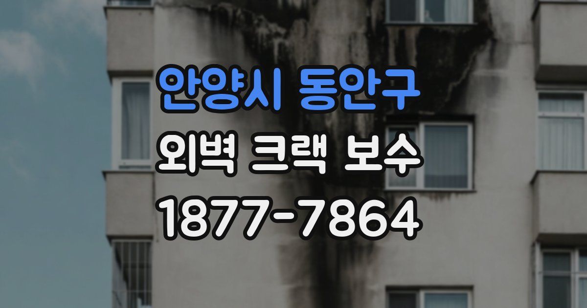 안양시 동안구 외벽 크랙 보수