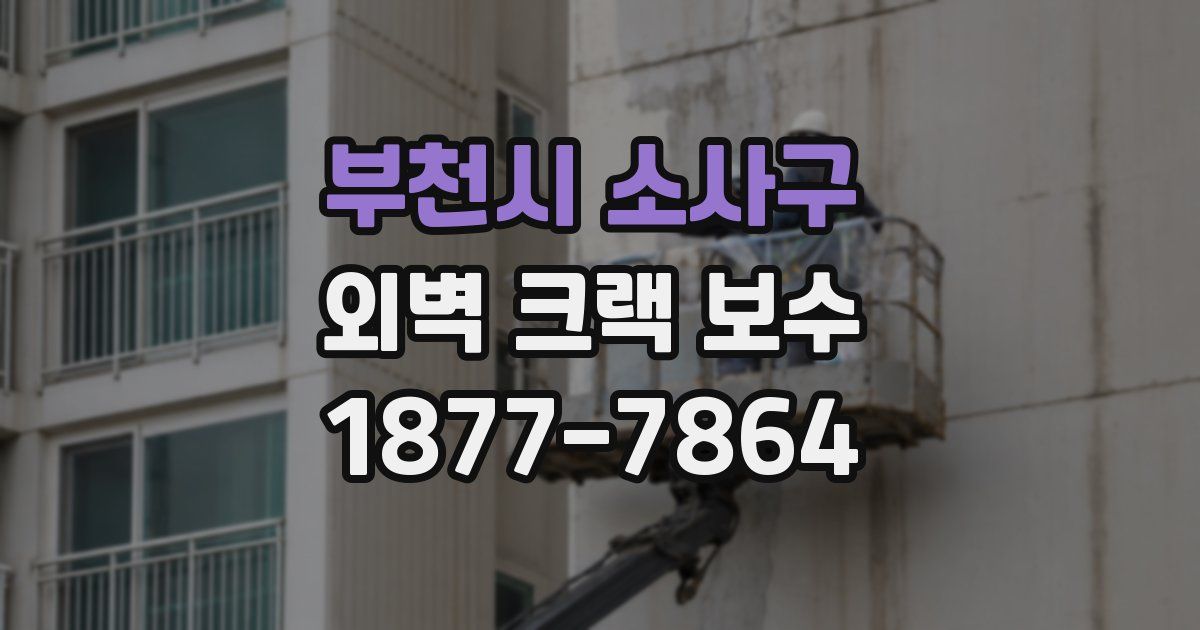 부천시 소사구 외벽 크랙 보수