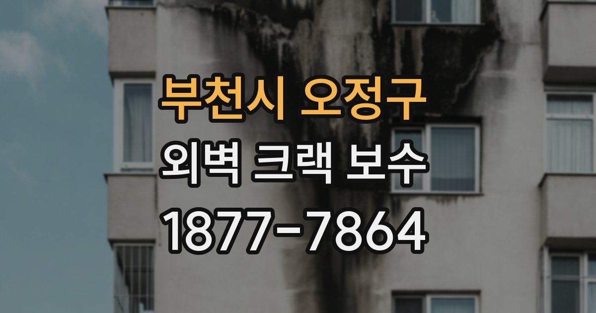 부천시 오정구 외벽 크랙 보수