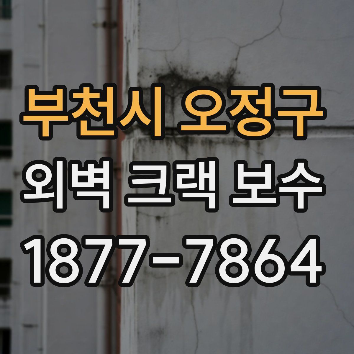 부천시 오정구 외벽 크랙 보수