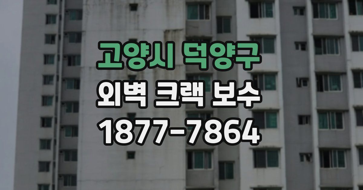 고양시 덕양구 외벽 크랙 보수