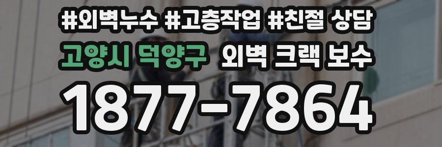 고양시 덕양구 외벽 크랙 보수