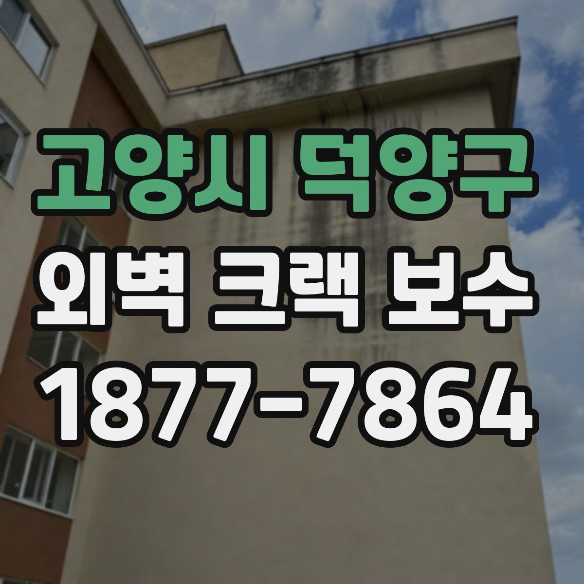 고양시 덕양구 외벽 크랙 보수