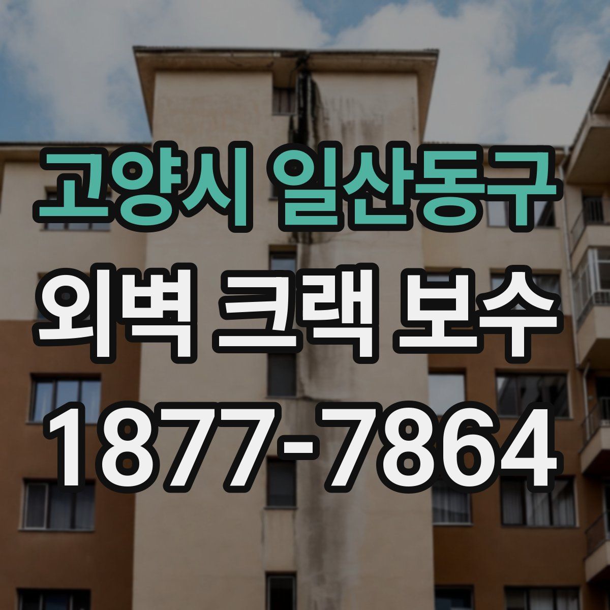고양시 일산동구 외벽 크랙 보수