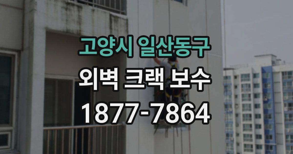고양시 일산동구 외벽 크랙 보수