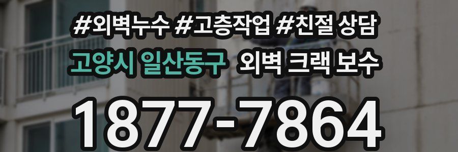고양시 일산동구 외벽 크랙 보수