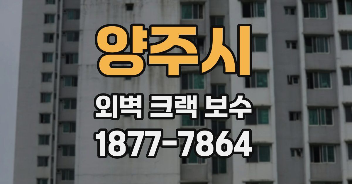 양주시 외벽 크랙 보수