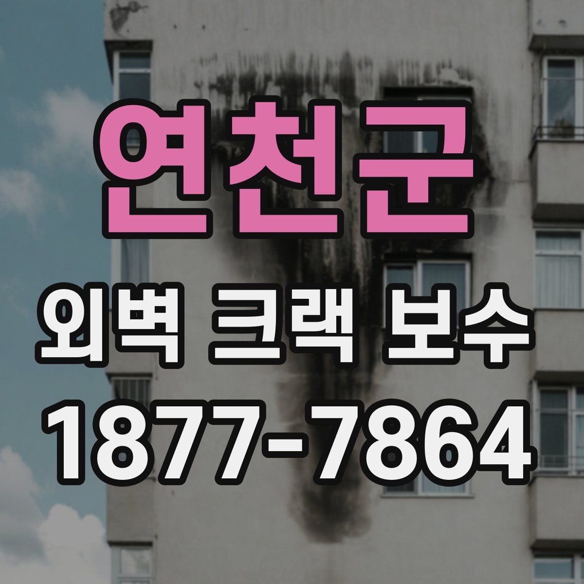 연천군 외벽 크랙 보수