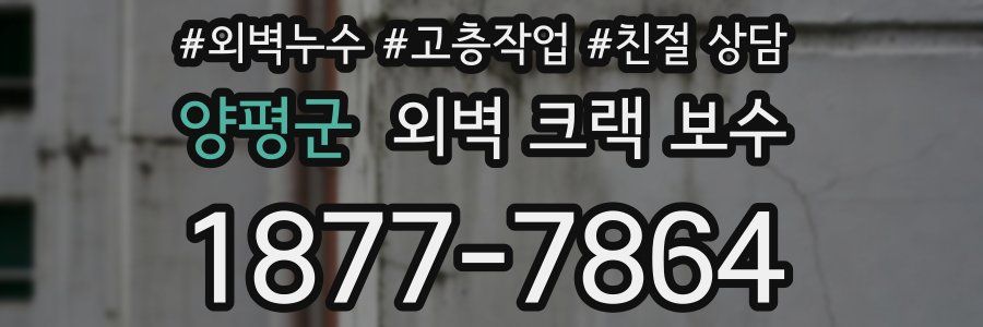 양평군 외벽 크랙 보수