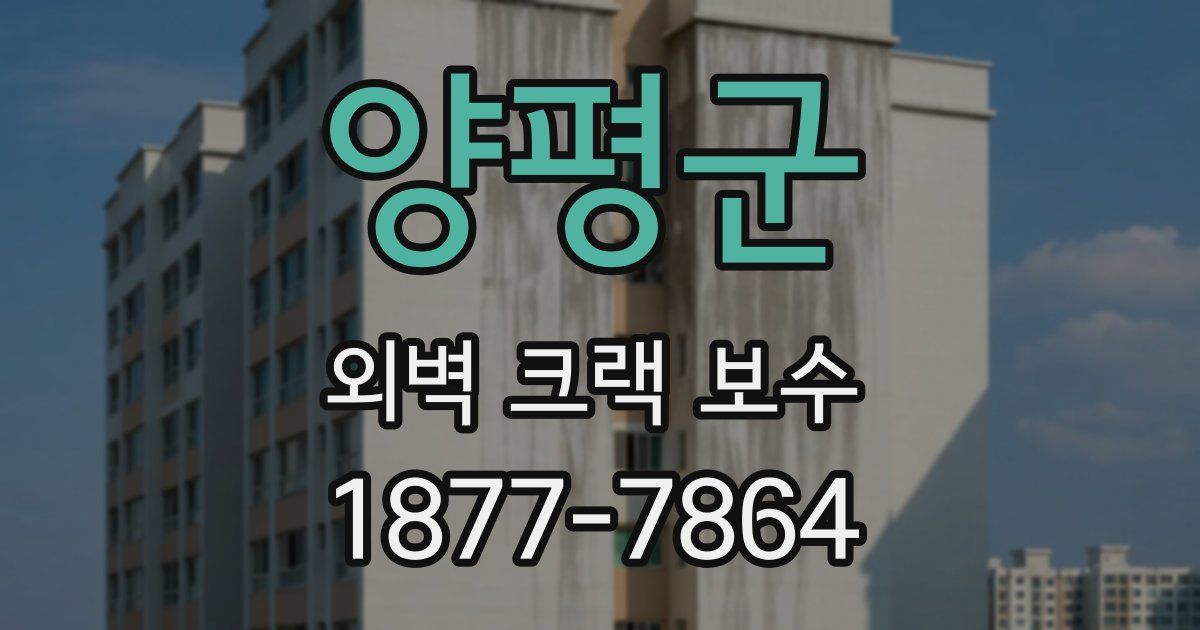 양평군 외벽 크랙 보수