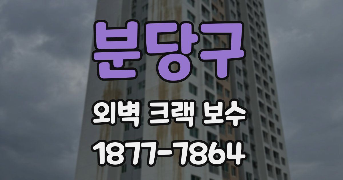 분당구 외벽 크랙 보수