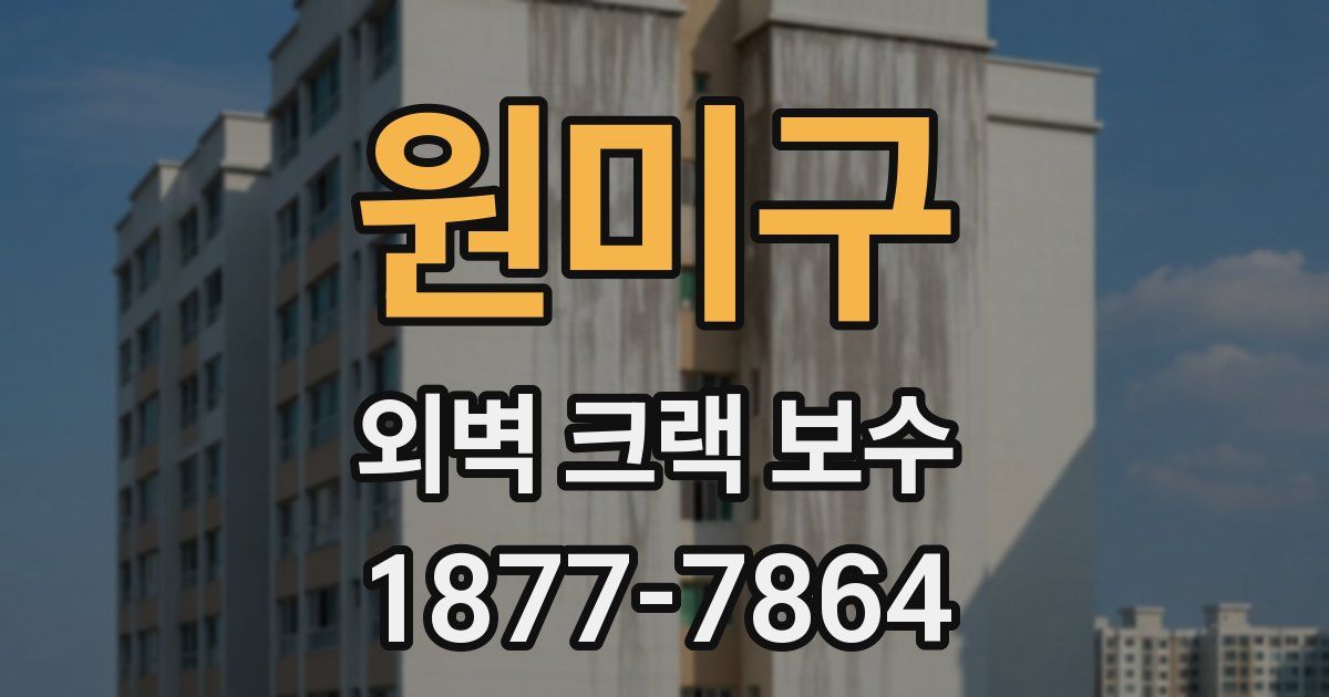 원미구 외벽 크랙 보수