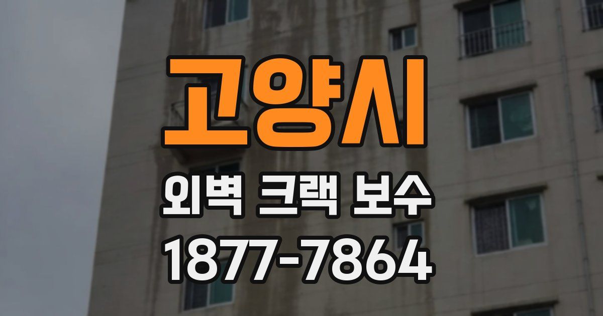 고양시 외벽 크랙 보수