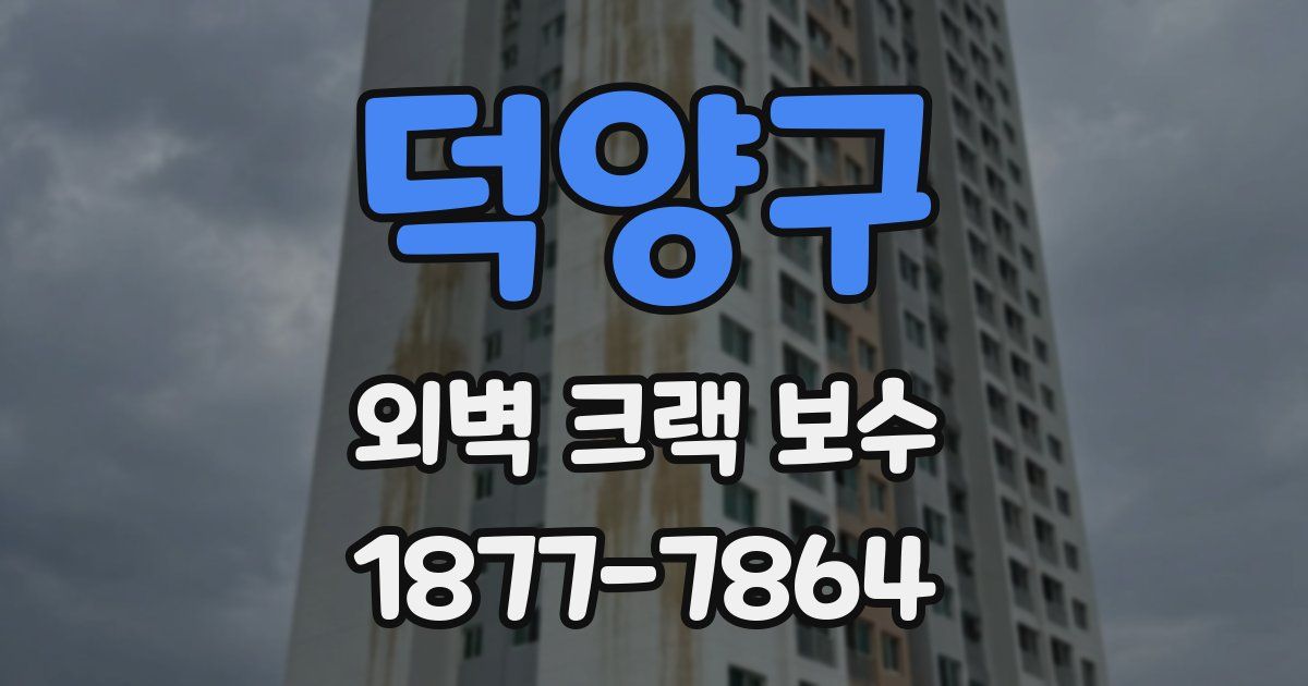 덕양구 외벽 크랙 보수