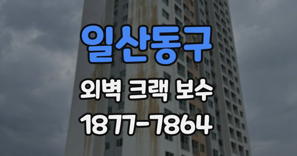 일산동구 외벽 크랙 보수