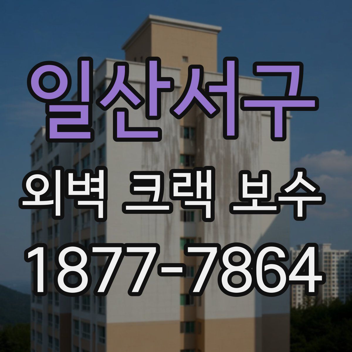 일산서구 외벽 크랙 보수