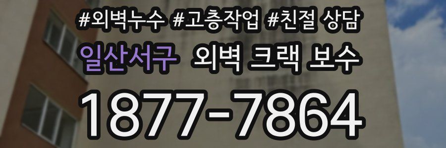일산서구 외벽 크랙 보수