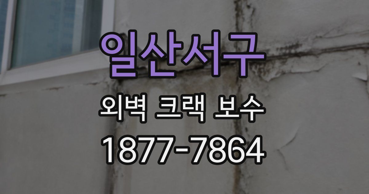 일산서구 외벽 크랙 보수