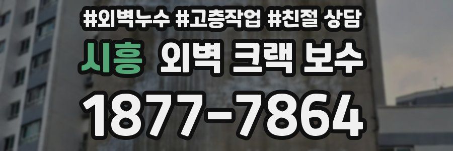 시흥 외벽 크랙 보수