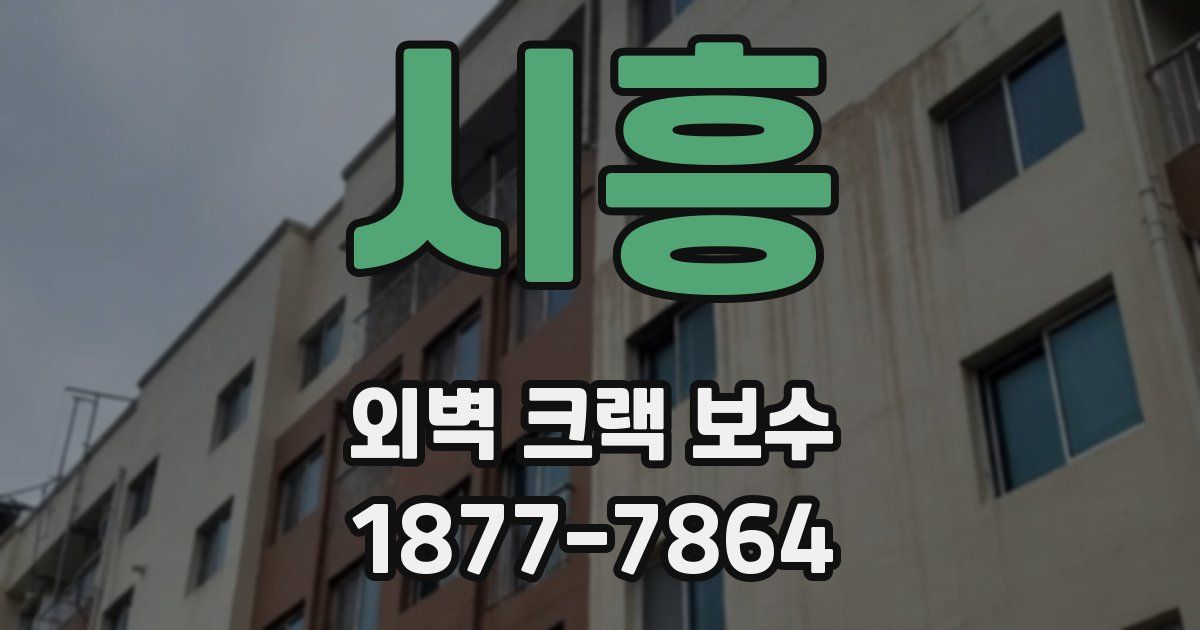 시흥 외벽 크랙 보수