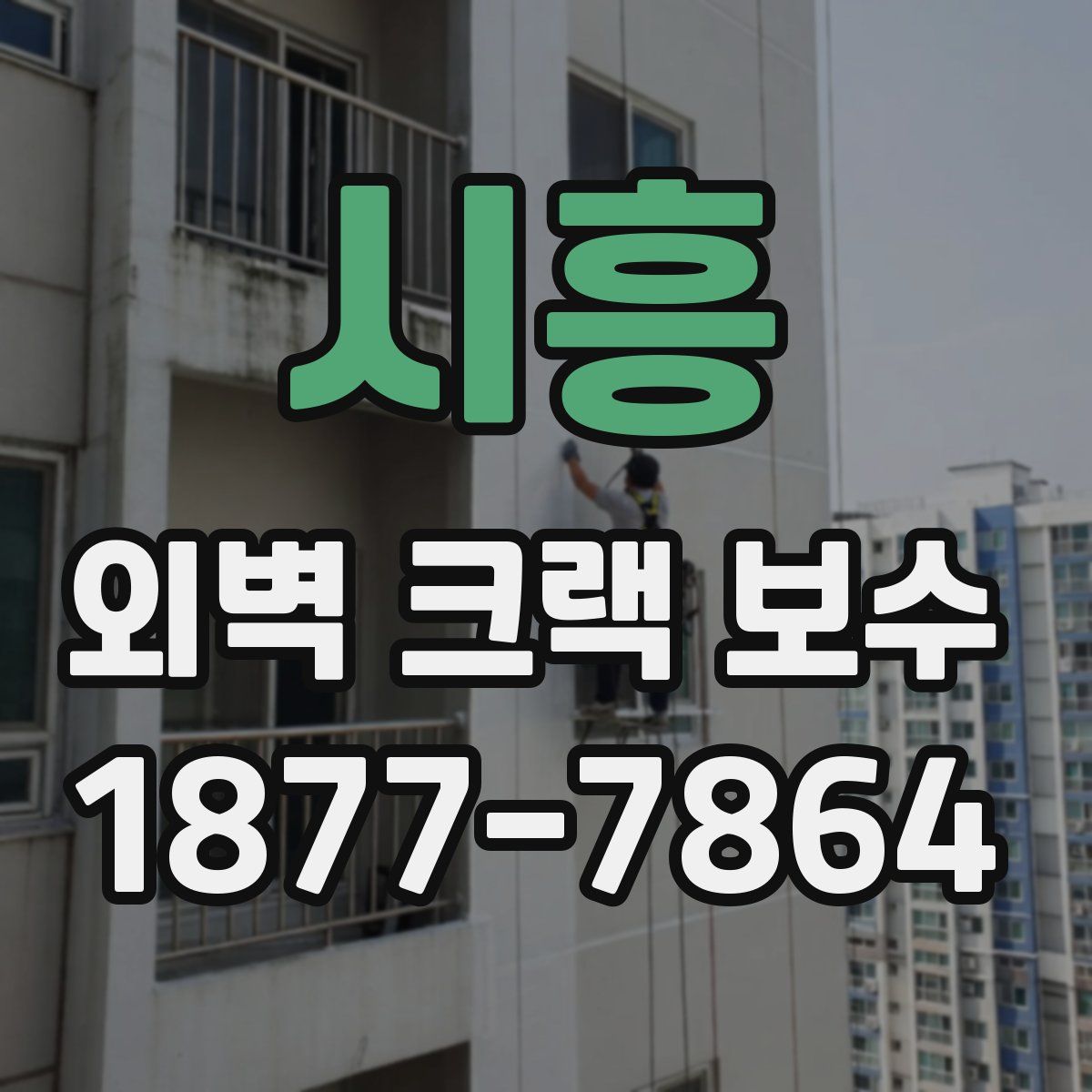 시흥 외벽 크랙 보수