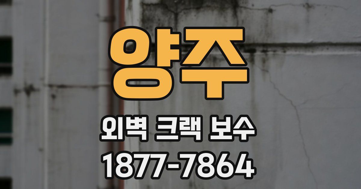 양주 외벽 크랙 보수