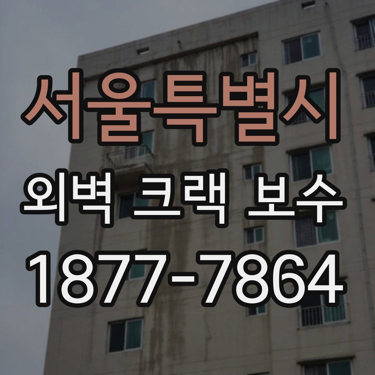 서울특별시 외벽 크랙 보수 공사 전후 사진으로 보는 변화