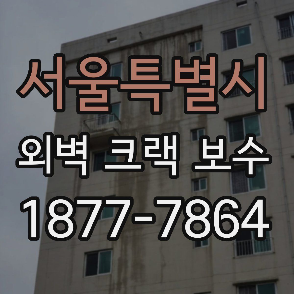 서울특별시 외벽 크랙 보수