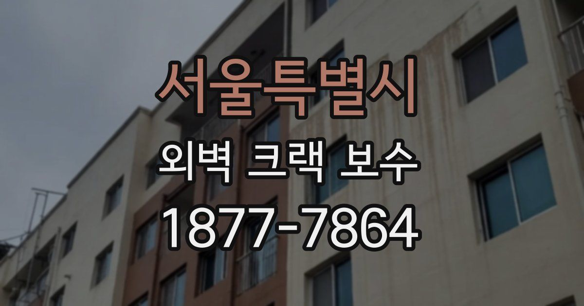 서울특별시 외벽 크랙 보수