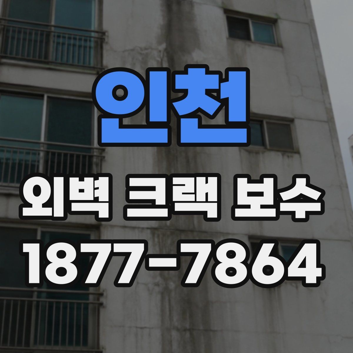 인천 외벽 크랙 보수 시기, 늦추면 생기는 문제
