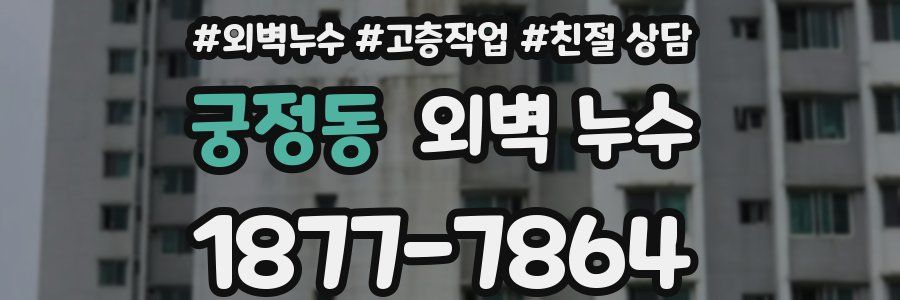 궁정동 외벽 누수