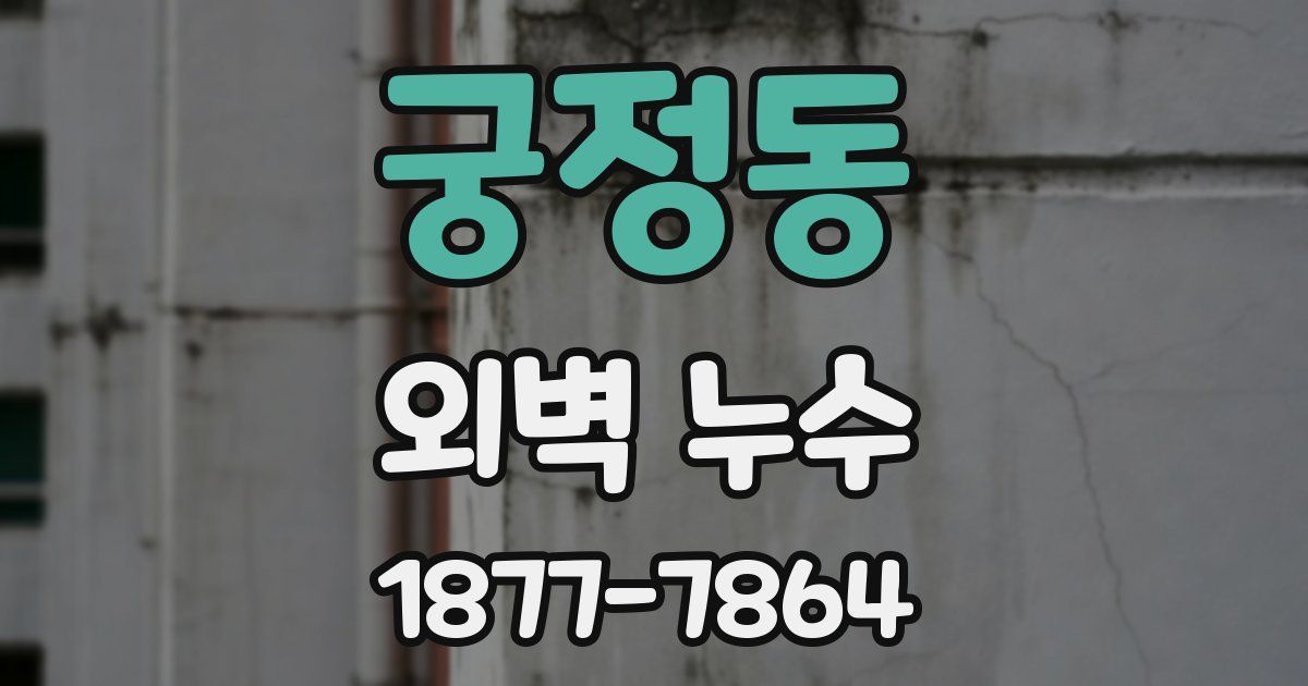 궁정동 외벽 누수