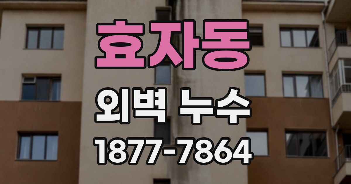 효자동 외벽 누수