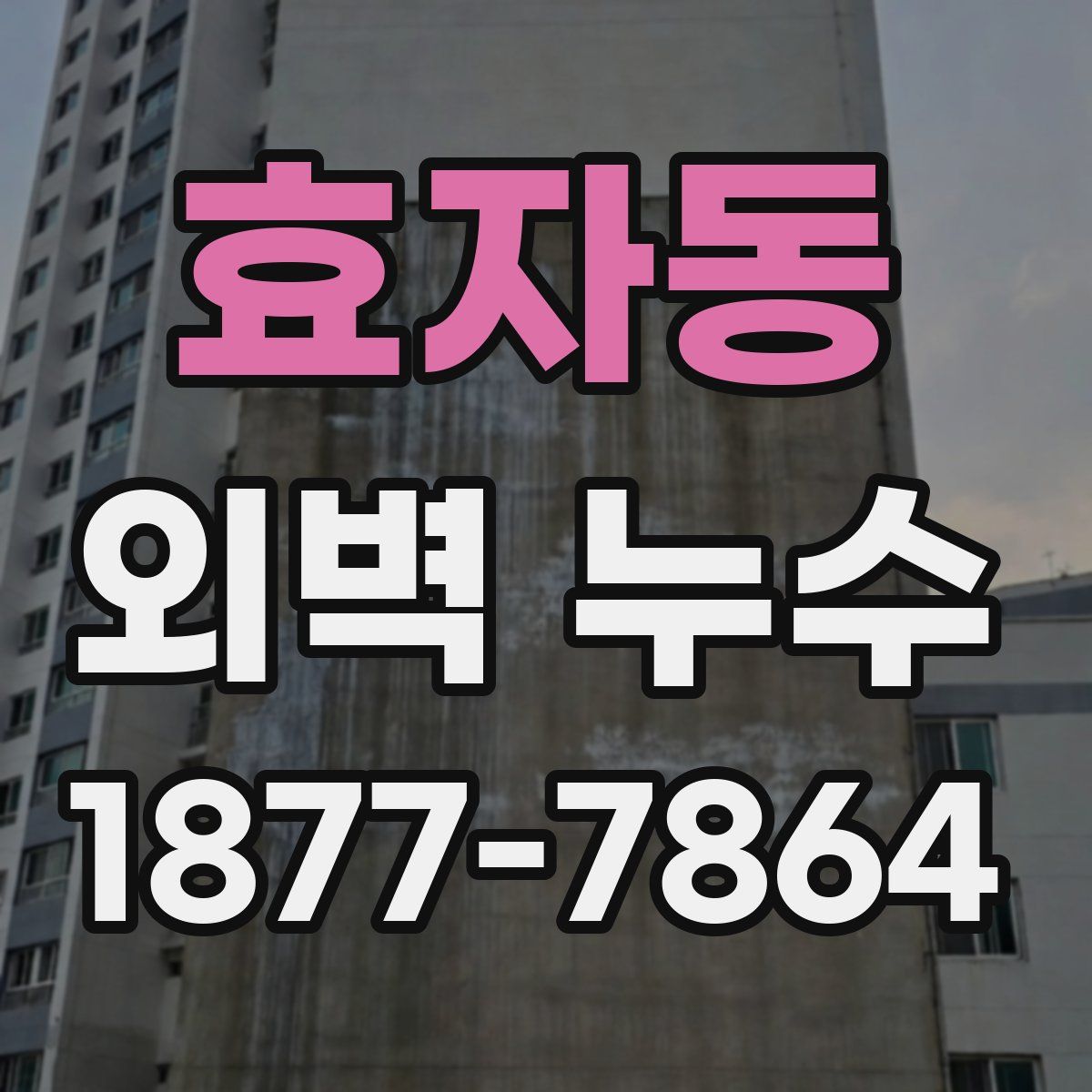 효자동 외벽 누수