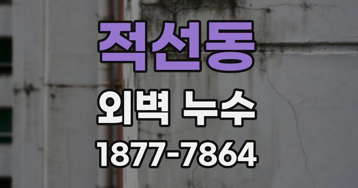 적선동 외벽 누수
