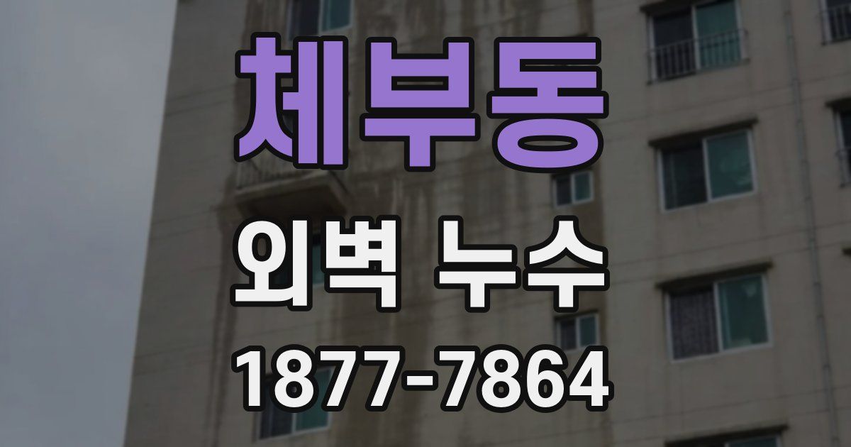 체부동 외벽 누수