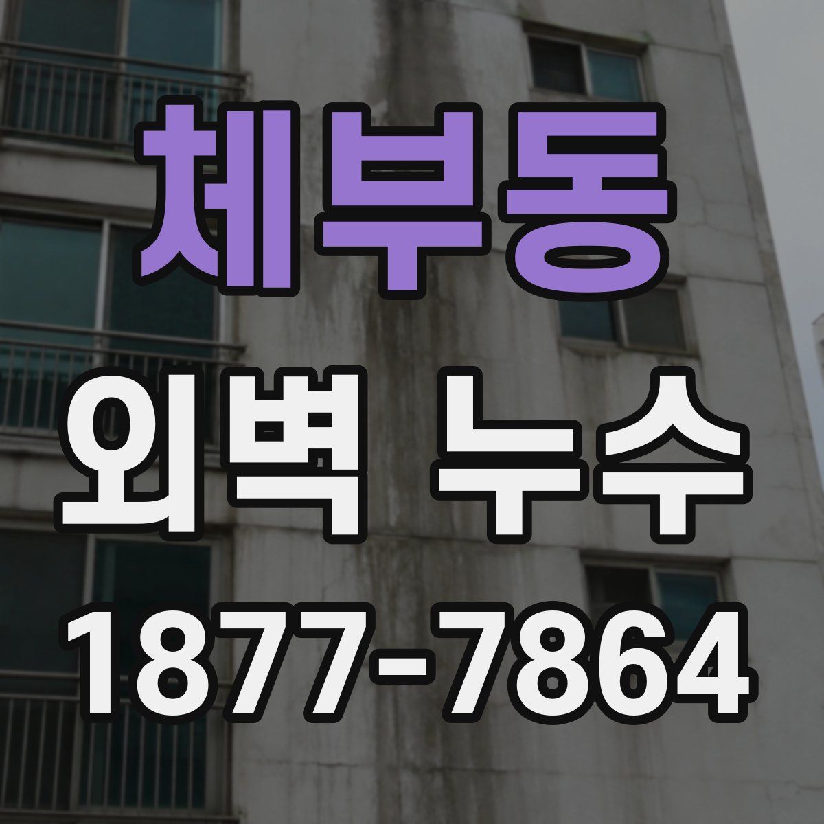체부동 외벽 누수