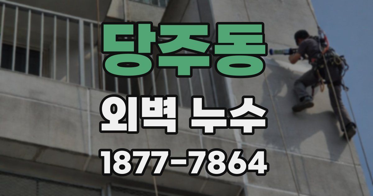 당주동 외벽 누수