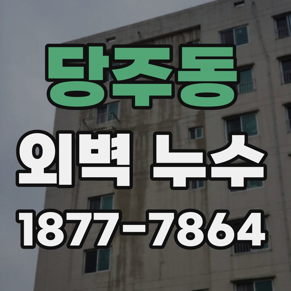 당주동 외벽 누수