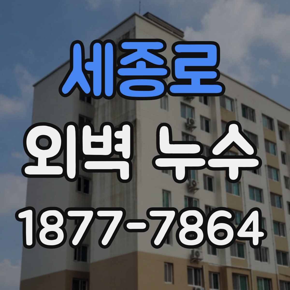 세종로 외벽 누수