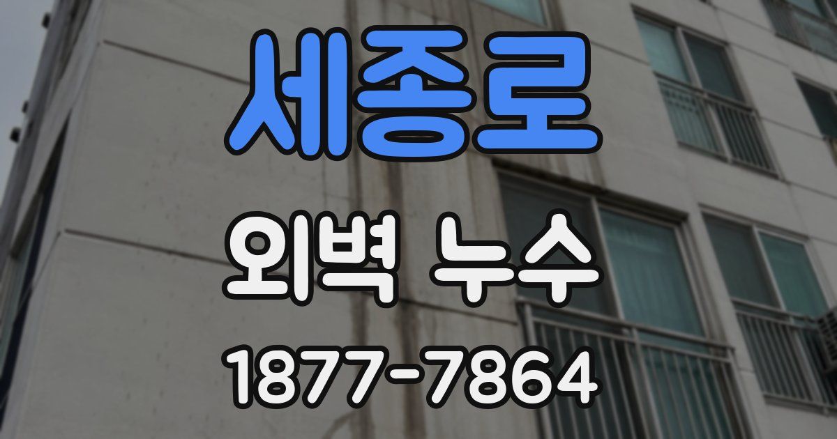 세종로 외벽 누수