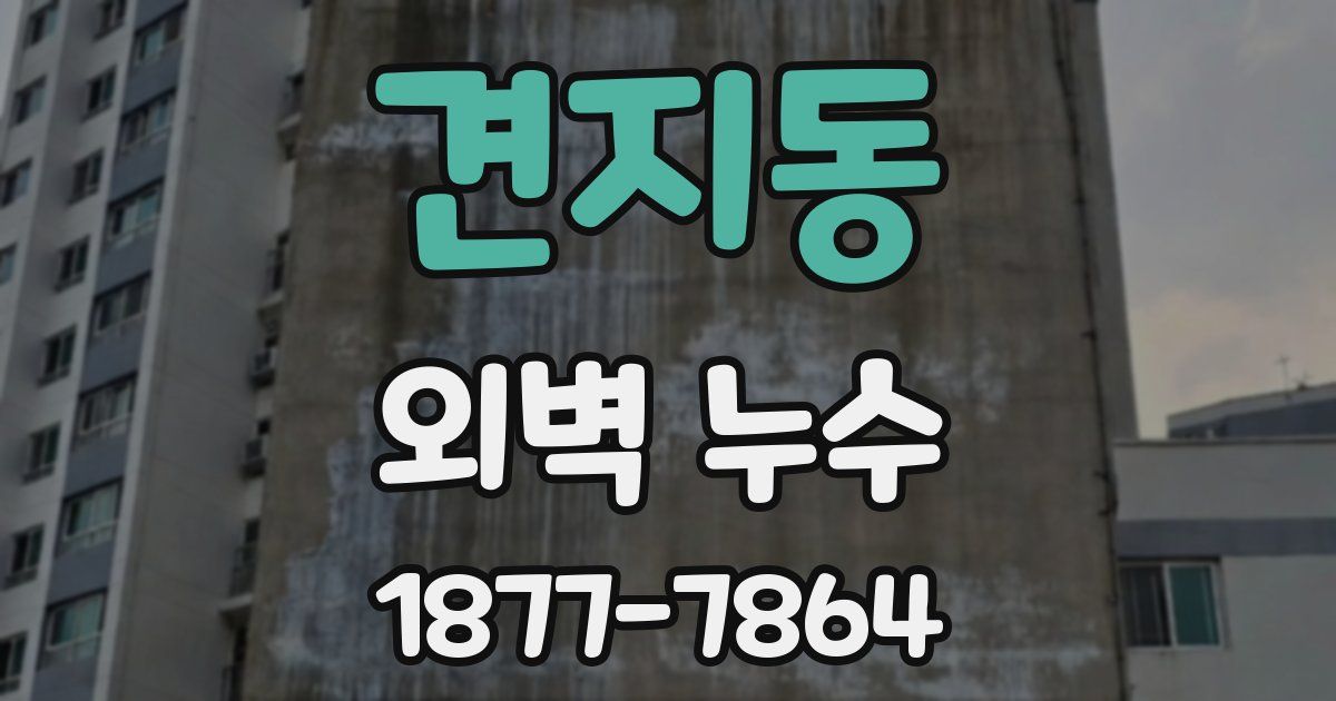 견지동 외벽 누수