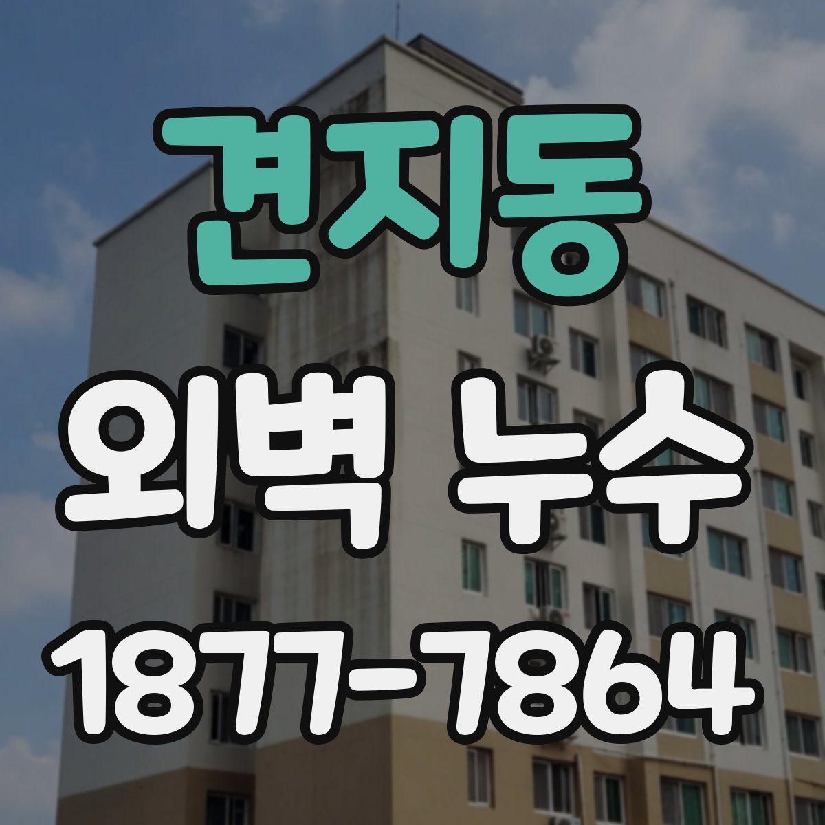 견지동 외벽 누수