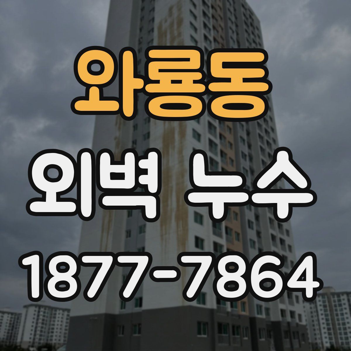 와룡동 외벽 누수